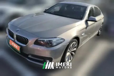 2017 BMW 5 Series 2017 2.0T AT 525LiLeading