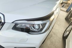 2020 Subaru Forester 2019 2.0 AT ZhiqingSport HEV (Imported) #5