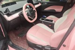 2022 Neta V 2022 AT tide 400 Lite Pink customization #9
