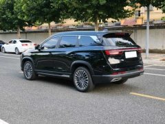 2024 Jetour Shanhai Jetour Shanhai L9 2024 1.5TD AT 2DHT Pro 5Seat #6