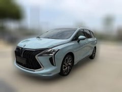 2023 Dongfeng Fengxing Fengxing Youting 2022 1.5T AT DCTChasing the windEdition #1