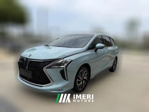 2023 Dongfeng Fengxing Fengxing Youting 2022 1.5T AT DCTChasing the windEdition