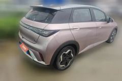 2022 BYD Dolphin 2021 405km Fashion #3