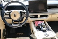 2022 Tank 500 2022 3.0T AT Business Create environment 5Seat #12