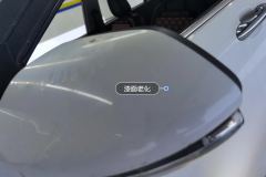 Left Exterior Mirror