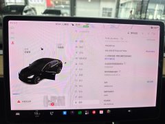 2020 Tesla Model 3 2020 StandardBattery lifeRWDUpgradeEdition #11