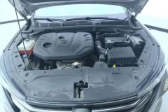 2021 Chang'an Eado 2021 PLUS 1.6L GDI AT CVTLuxury #10