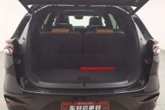 2022 BYD Tang New Energy 2021 1.5T AT DM-i 112KM Honor #20