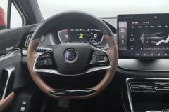 2020 BYD Tang PHEV 2021 2.0T AT DM 4WDHigh PerformanceHonor #15