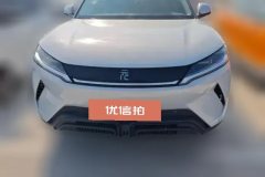 2024 BYD Yuan UP 2024 301KM Leading #2
