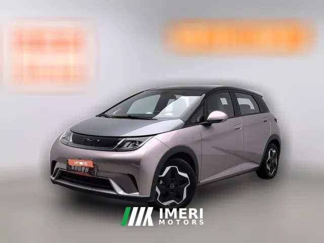2022 BYD Dolphin 2021 405km Fashion