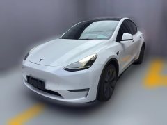 2021 Tesla Model Y 2021Long Rangeall wheel driveEdition 3D7 #1