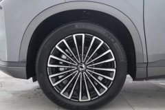 2025 Dongfeng Fengshen Dongfeng Fengshen L8 2025 185KMdreamEdition #6