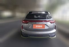 2022 Haval Chitu 2021 1.5T AT ProvokingEdition golden rabbit #2