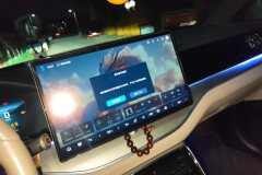 2024 BYD Tang PHEV 2024 1.5T AT DM-i Glory 200KM Flagship #13