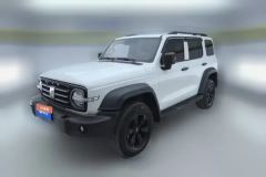 2022 Tank 300 2021 Off-road 2.0T AT challenger #1