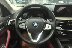 2021 BMW 5 Series 2021 2.0T AT 530LiLeadingLuxury Pkg #15