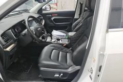 2019 Haval H6 2020 1.5T AT PlatinumChampion #9