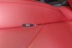 Driver Seat
