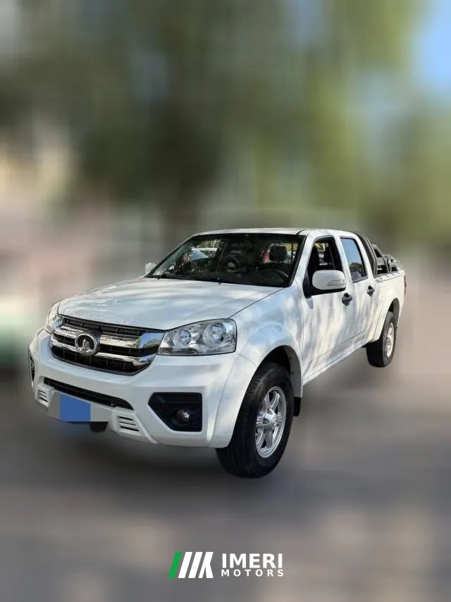 2021 Great Wall Fengjun 7 2021 2.0T MT Gasoline2WDSuper ValueLarge Double CabGW4C20B