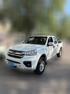 2021 Great Wall Fengjun 7 2021 2.0T MT Gasoline2WDSuper ValueLarge Double CabGW4C20B #1