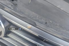Intake Grille