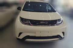 2024 BYD Dolphin 2025 420km vitalityEdition #2