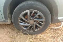 2022 Neta V 2022 tide 300 Lite LFP #6