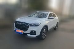 2023 Haval H6 2023 China tideEdition 1.5T AT Champion #1
