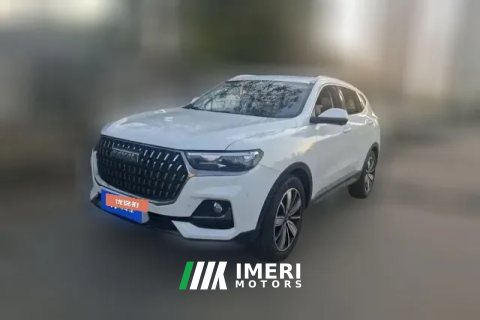 2023 Haval H6 2023 China tideEdition 1.5T AT Champion
