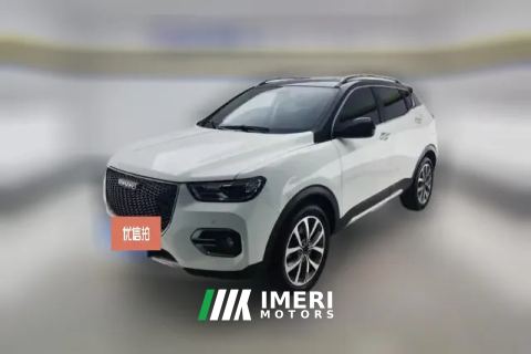 2018 Haval H2s 2018 1.5T AT Red LabelLuxury