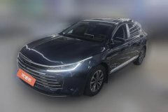 2024 BYD Destroyer 05 2024 Glory 1.5L AT DM-i 55KM Luxury #1