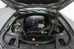 2015 BMW 5 Series 2014 2.0T AT 525LiLeading #7
