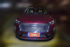 2020 Haval H6 2021 1.5T AT No.3generation2WDSupreme #2
