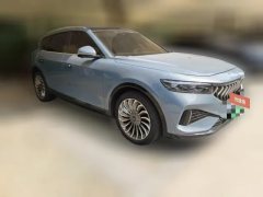 2022 Voyah Free 2021 4WDStandardEREVExclusiveLuxury Pkg #2