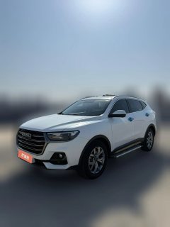 2021 Haval H6 2021 1.5T AT China tideChampion #1