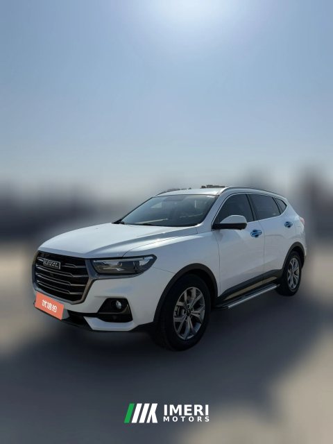 2021 Haval H6 2021 1.5T AT China tideChampion
