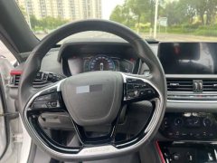 2022 Dongfeng Fengshen Yixuan 2021 1.5T AT 230T ATDream Chaser KnightEdition #16