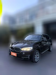 2018 BMW X5(Imported)(Imported) 2018 2.0T AT 28i (Imported) #1