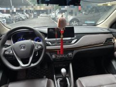 2019 Chang'an Eado DT 2018 1.6 MT Smart #9