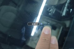 Windshield