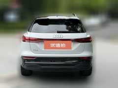 2023 Audi Q5 e-tron 2022 40 e-tron star shine brocade suit day by dayEdition #4