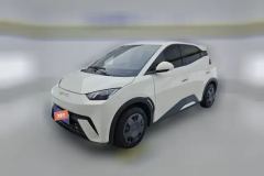 2024 BYD Seagull 2023 vitalityEdition #1