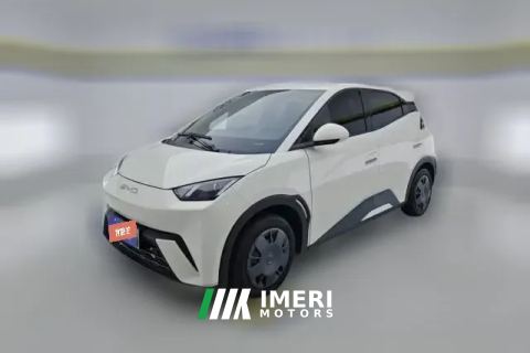 2024 BYD Seagull 2023 vitalityEdition