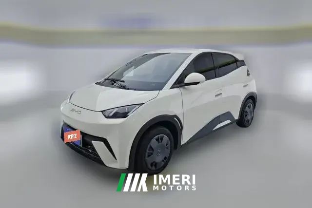 2024 BYD Seagull 2023 vitalityEdition