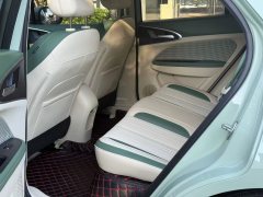 2024 Ora Good Cat 2024 401km Comfort #5