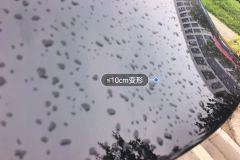Trunk Lid