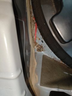 Spare Tire Well (Trunk Floor)