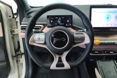 2025 BYD Seagull 2025 305km freeEdition #15