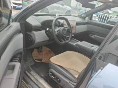 2024 Zeekr 7X 2025 75kWh RWDSmart Drive #6
